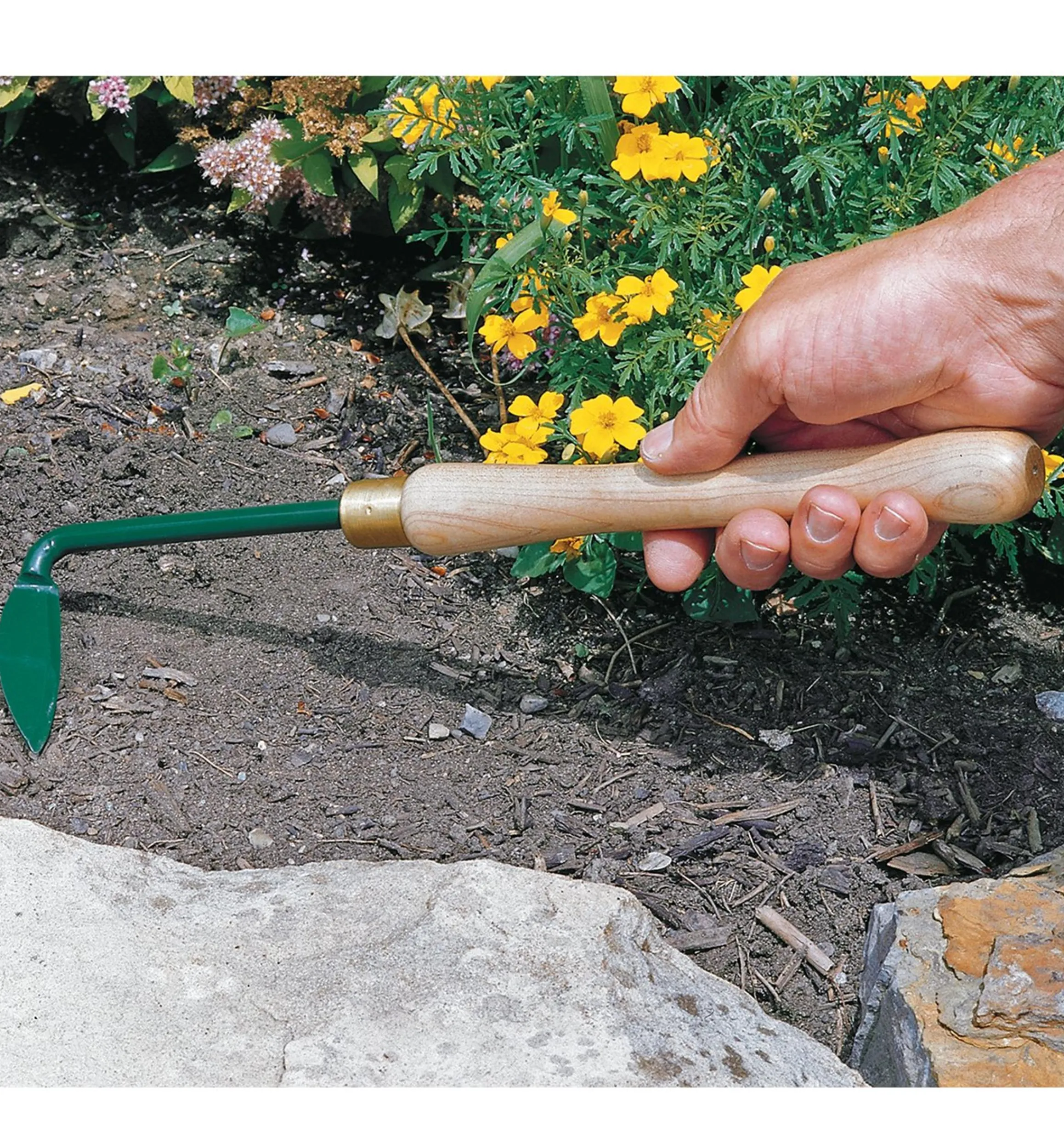 Lee Valley Weeding>Yankee Weeder